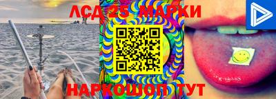 прущие крисы Моздок