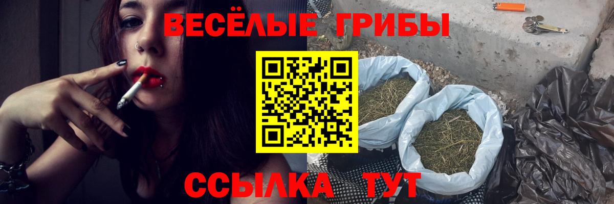 Псилоцибиновые грибы Cubensis  Галлюциногенные грибы Psilocybe  Вход с VPN  Великий Новгород 